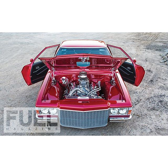 Shane Harvey's stunning 'GRUNTA' 1978 Holden HZ Ute, as featured in issue 21. #holden #holdenute #ute #hzholden #fuelmagazine #naturallightphotography Shane Harvey's stunning 'GRUNTA' 1978 Holden HZ Ute, as featured in issue 21. #holden #holdenute #ute #hzholden #fuelmagazine #naturallightphotography