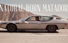 Natural-Born Matador